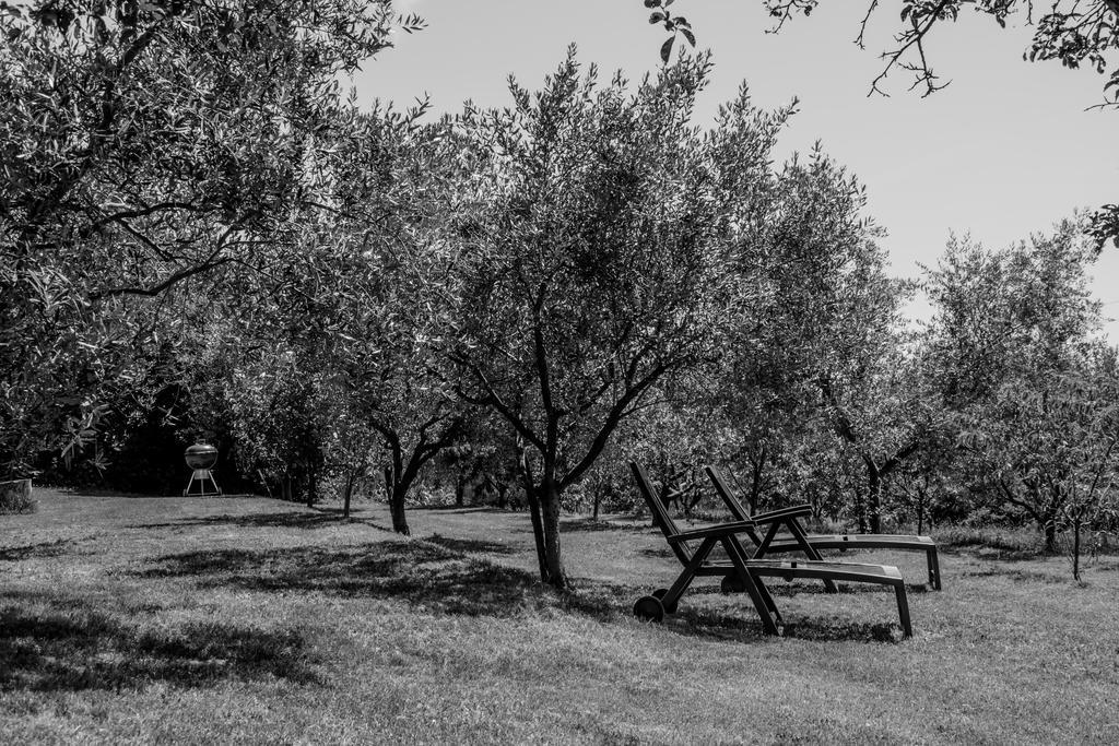 הוילה San Pelagio Terra Del Carso מראה חיצוני תמונה